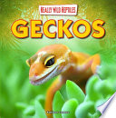 Geckos cover