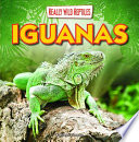 Iguanas cover