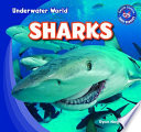 Sharks cover