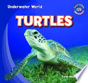 Turtles cover