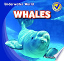 Whales cover