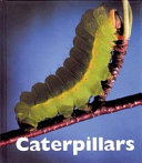 Caterpillars cover