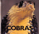 Cobras cover
