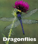 Dragonflies (Naturebooks) cover
