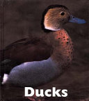 Ducks cover