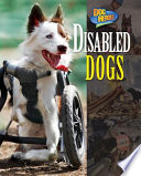 Disabled Dogs cover