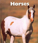 Horses cover
