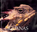 Iguanas cover