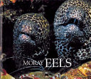Moray Eels (Naturebooks) cover