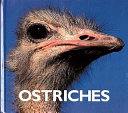 Ostriches (Naturebooks) cover