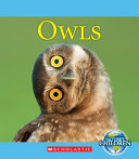 Owls cover