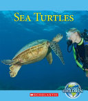 Sea Turtles cover