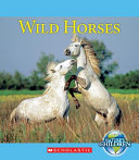 Wild Horses cover