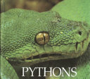 Pythons cover