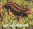 Salamanders (Naturebooks) cover