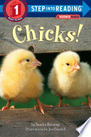 Chicks! cover