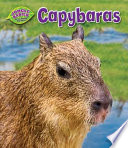 Capybaras cover