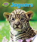 Jaguars cover