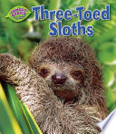 Three-Toed Sloths cover