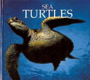 Sea Turtles cover