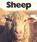 Sheep cover
