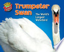 Trumpeter Swan: The World's Largest Waterbird cover