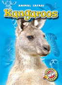 Kangaroos cover