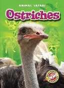 Ostriches cover