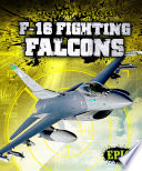 F-16 Fighting Falcons cover