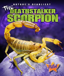 The Deathstalker Scorpion cover