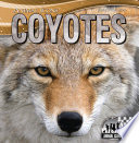 Coyotes cover
