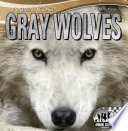 Gray Wolves cover