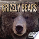 Grizzly Bears cover