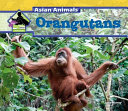 Orangutans (Asian Animals) cover