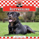 Rottweilers cover