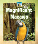 Magnificent Macaws cover