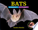Bats: Biggest! Littlest! cover