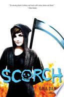 Scorch cover