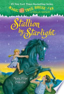 Stallion by Starlight cover