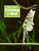 Catching a Meal cover