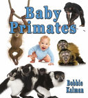 Baby Primates cover