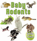 Baby Rodents cover