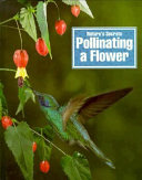 Pollinating a Flower cover