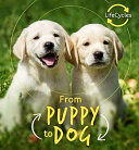 Puppy to Dog cover