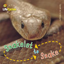 Snakelet to Snake cover