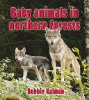 Baby Animals in Northern Forests cover