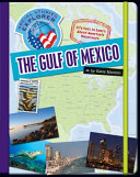 The Gulf of Mexico cover