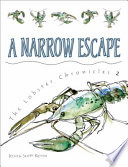 A Narrow Escape cover