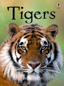 Tigers cover