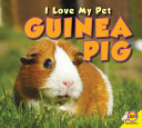 Guinea Pig cover